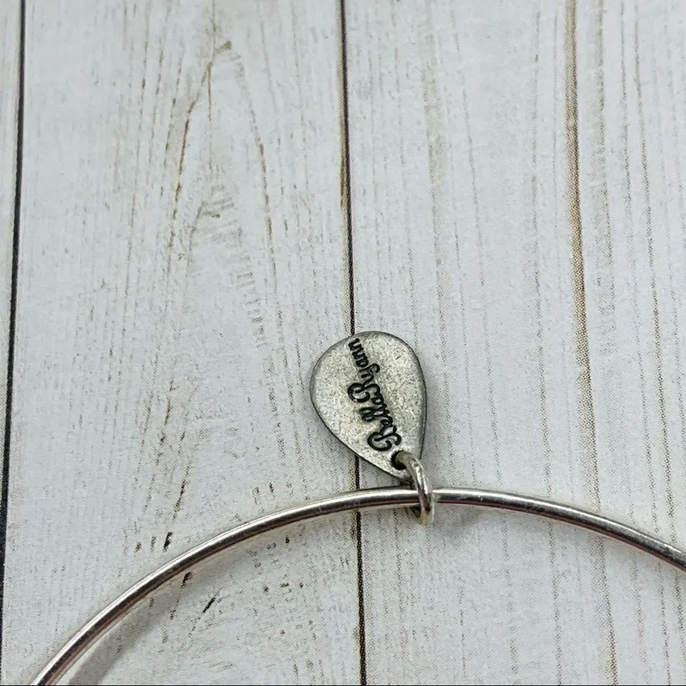 bella ryann silvertone pull